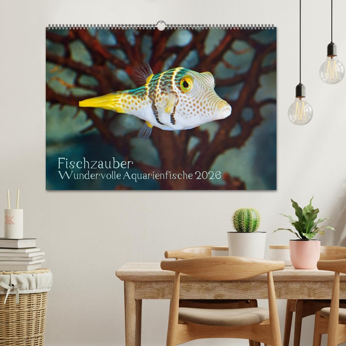 Fischzauber - Wundervolle Aquarienfische (Wandkalender 2026 DIN A2 quer), CALVENDO Monatskalender: Kalender mit bezaubernden Aufnahmen von kleinen Fischen in Aquarien.