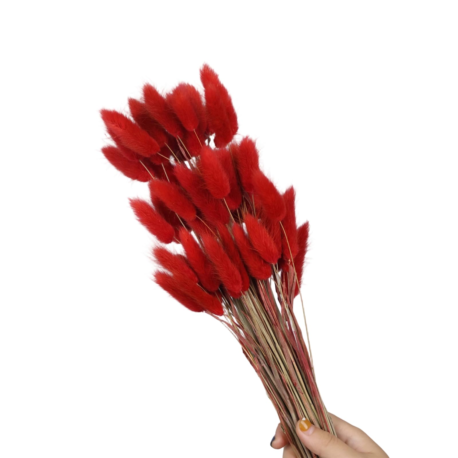 Tsophreniq 60Pcs Natural Hare Tails Dried Flower 23.6Inch Natural Dry Pampasgrass for Vase Arrangements Home Decoration Wedding Pet Safe Dried