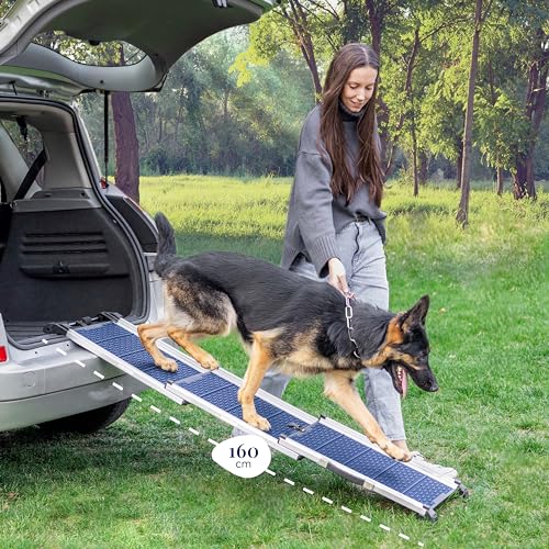 Hunderampe Auto Klappbar- Teleskop Alu Rampe für große Hunde - Stabile Hundetreppe Auto & SUV - rutschfest - Reflektierende Seiten - Hundeleiter Auto - 90kg Belastbarkeit - Befestigungsclip - Blau