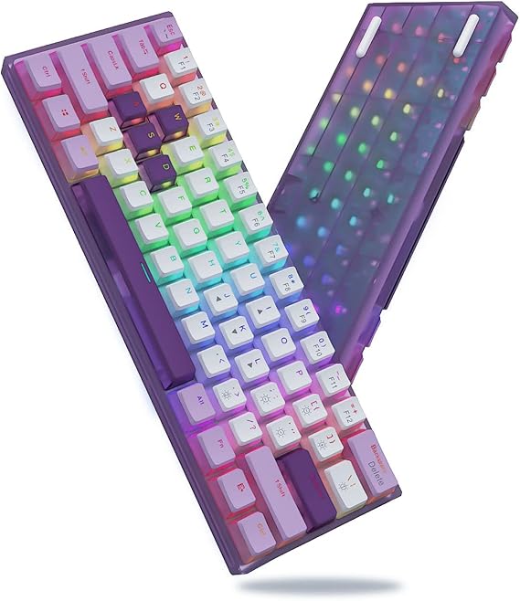Womier WK61 Purple Keyboard 60 Mechanical Keyboard, HotSwappable
