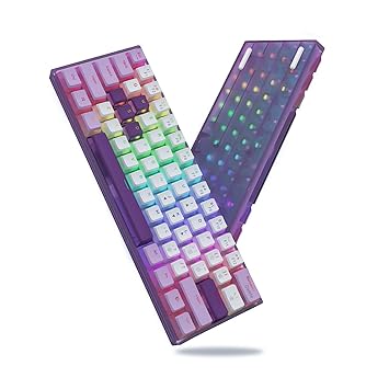 Womier WK61 Purple Keyboard - 60% Mechanical Keyboard, Hot-Swappable Ultra-Compact RGB Gaming Keyboard w/Pudding Keycaps, Pro Driver/Software Supported - Red Switch