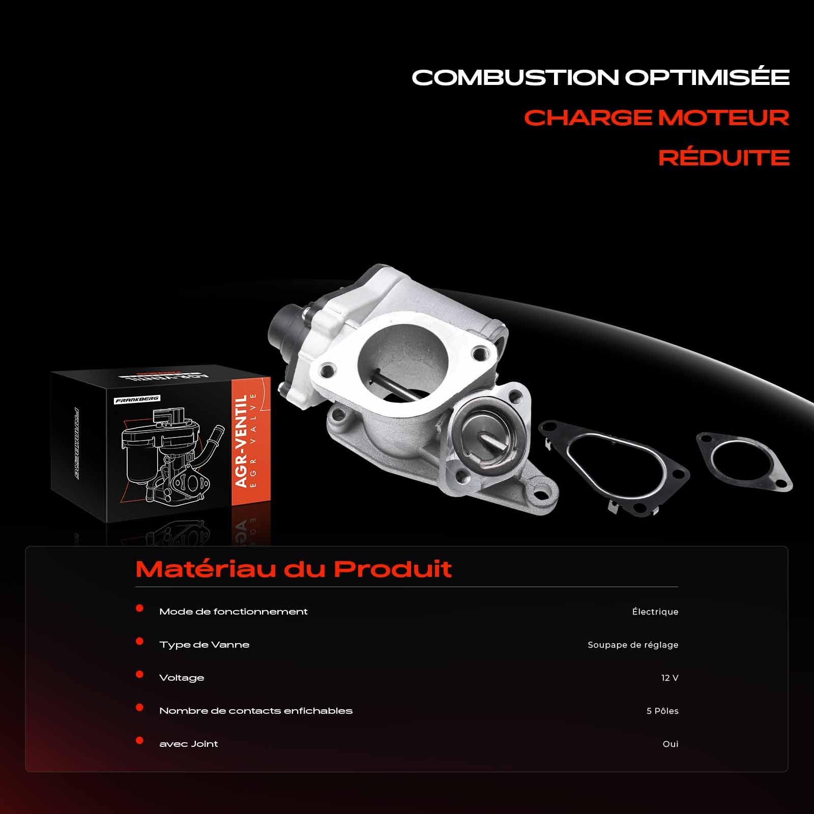 Frankberg Vanne EGR 5 broches 8200411031