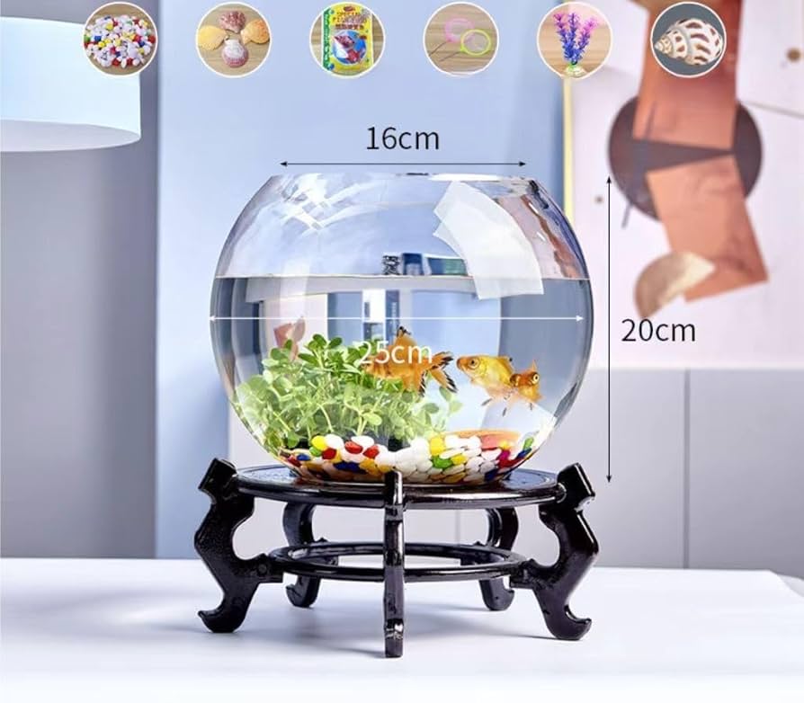 希少　激レア　まめゴマリウム　水槽　金魚鉢　まとめ売り 希少 激レア まめゴマリウム 水槽 金魚鉢 まとめ売り