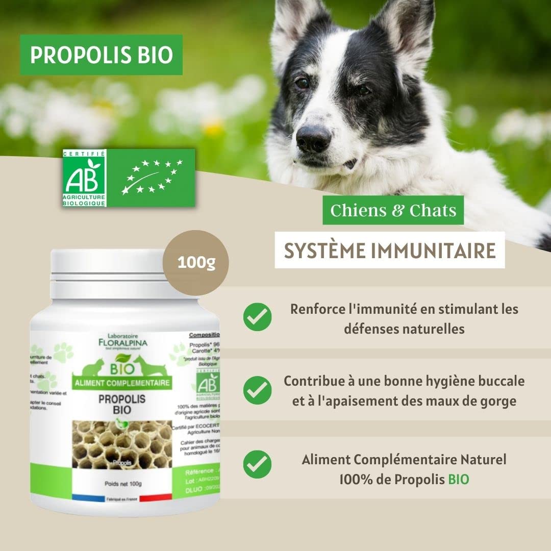 Propolis Bio 100g pour Chien et Chat - Hygiène buccale, Stimulation des défenses immunitaires, cicatrisation des plaies