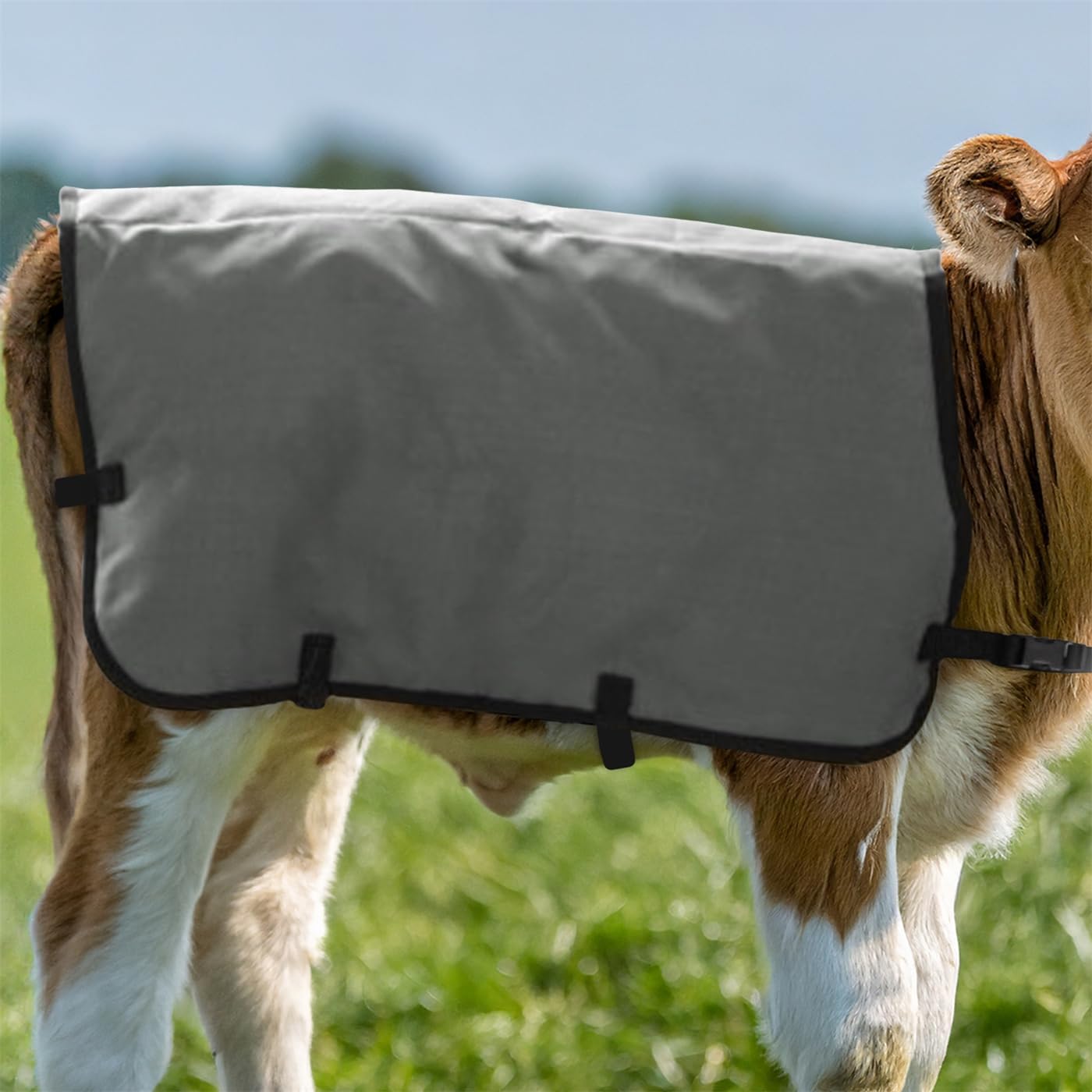 Göbel Kälberdecke 70cm, grau Thermodecke für Junge Kälber als Kälteschutz