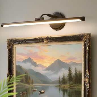 Hardwired Picture Lights For Wall, Led Art Light For Painting,Modern Metal Picture Frame Light ,Dimmable Poster Gallery Painting Bookshelf Portrait Lights For Pictures On Wall 8W 3CCT Black, 24in