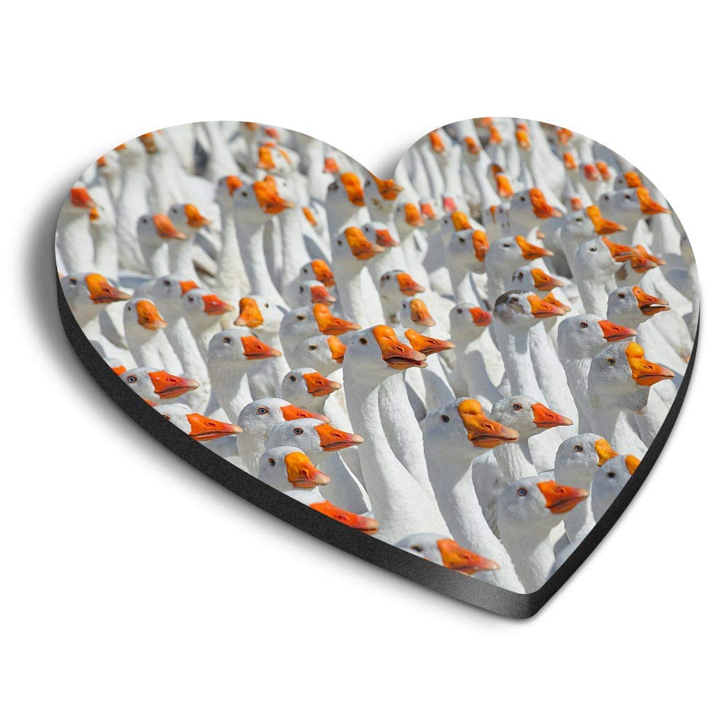 1 x Heart MDF Magnets - Flock of Geese Bird Goose 45033