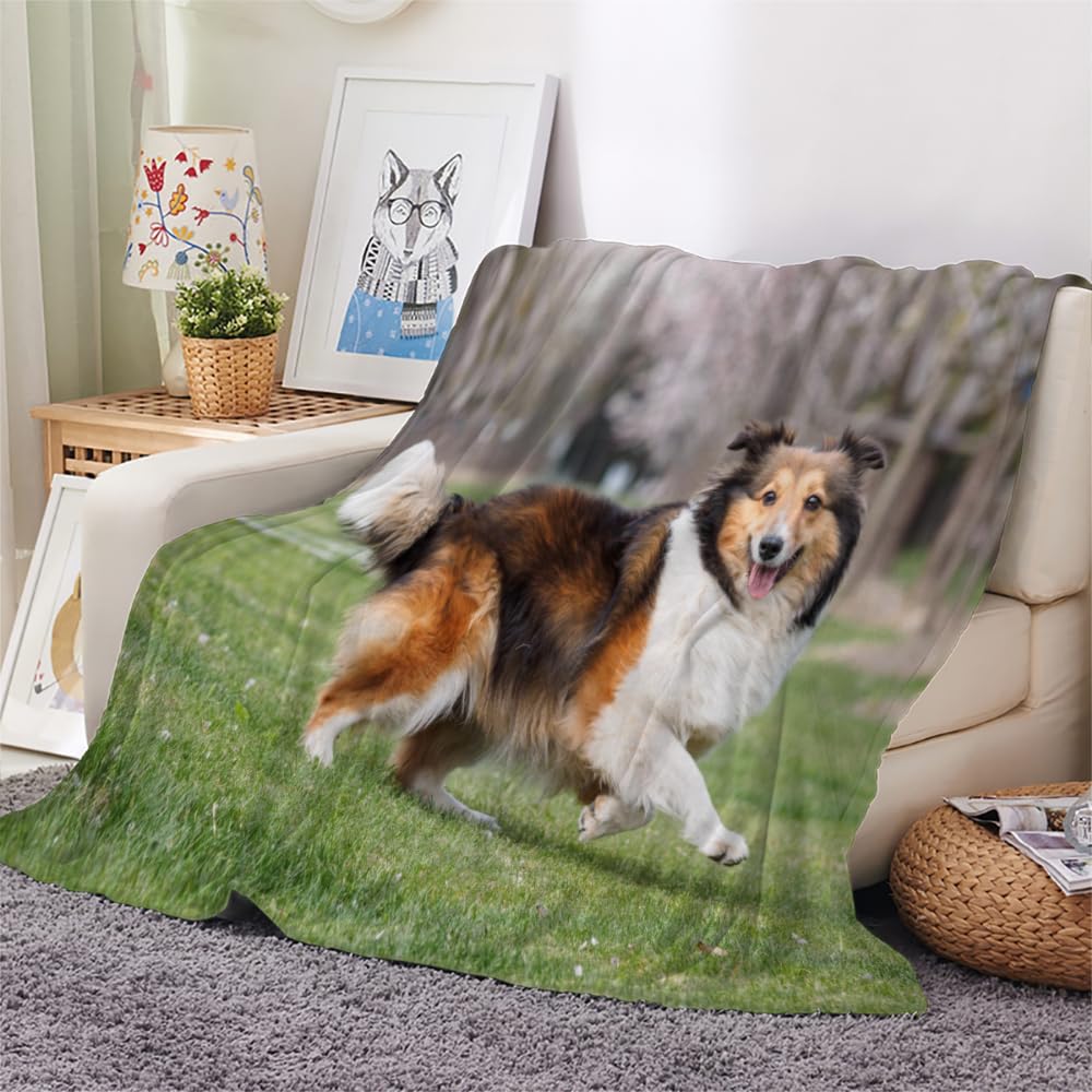 Flanelle Couverture Chien De Berger Chien Animal Berger Shetland Couverture lit 2 Personnes 3D Imprimée Doux Chaud Couverture Queen Super Douce Canape Couverture 2 Personnes 180x220