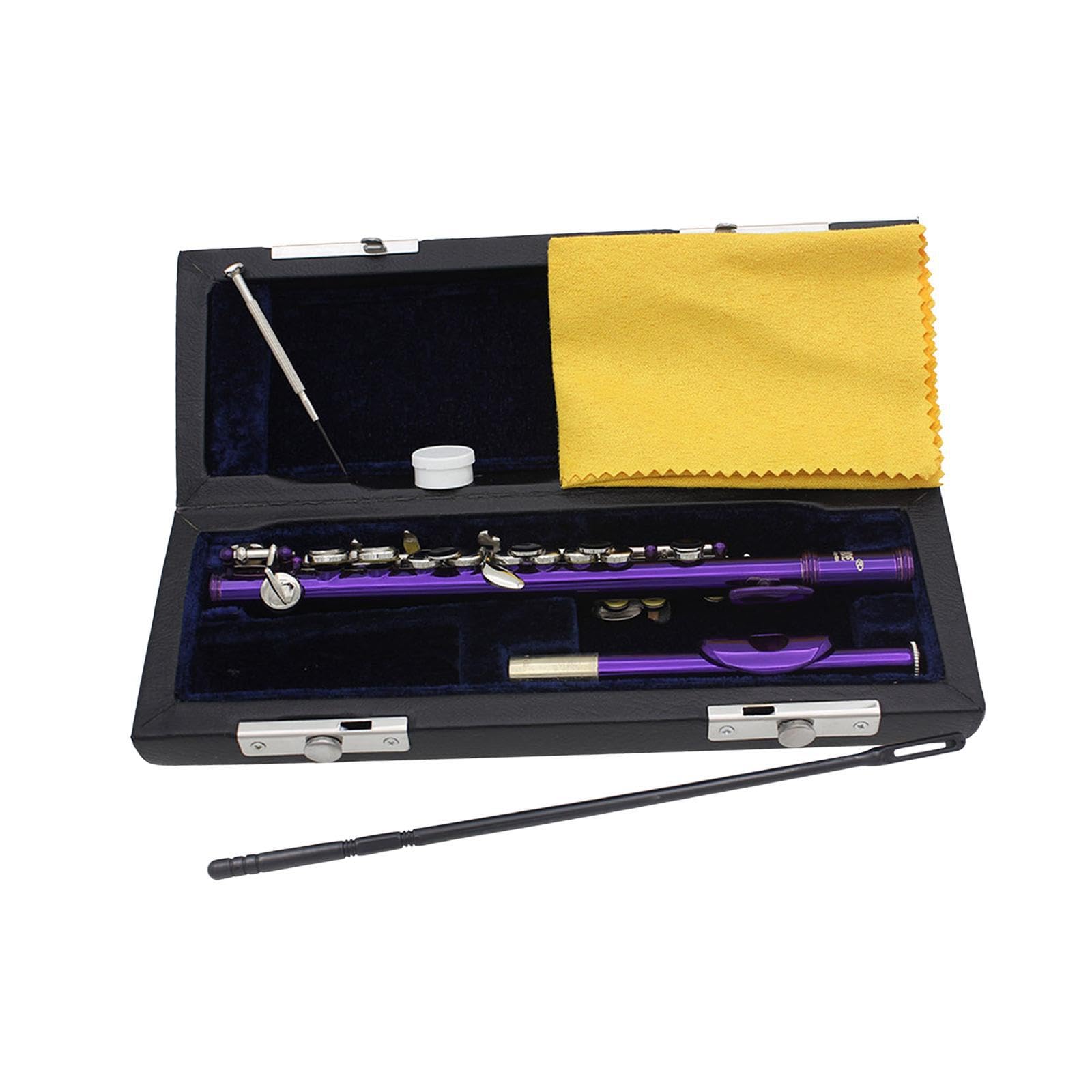 Flauto piccolo in chiave di Do, include custodia rigida e accessori, strumento musicale per esibizioni bandistiche, strumento tradizionale a 16 fori, Viola, 31.5x1.3 centimetri