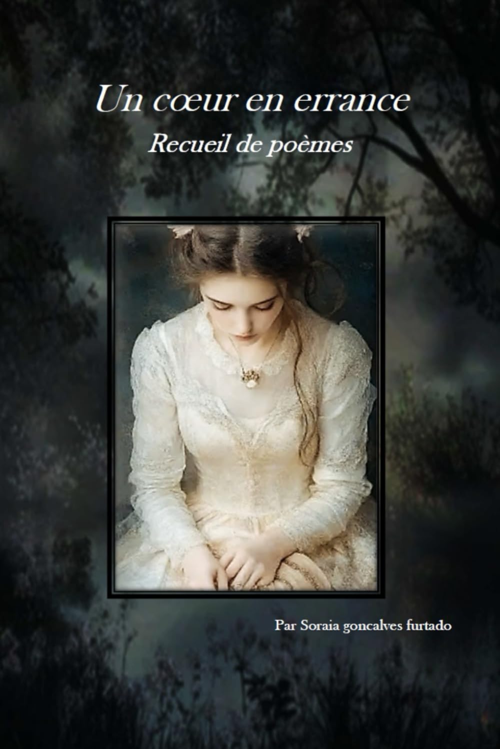 Un coeur en errance: recueil de poeme