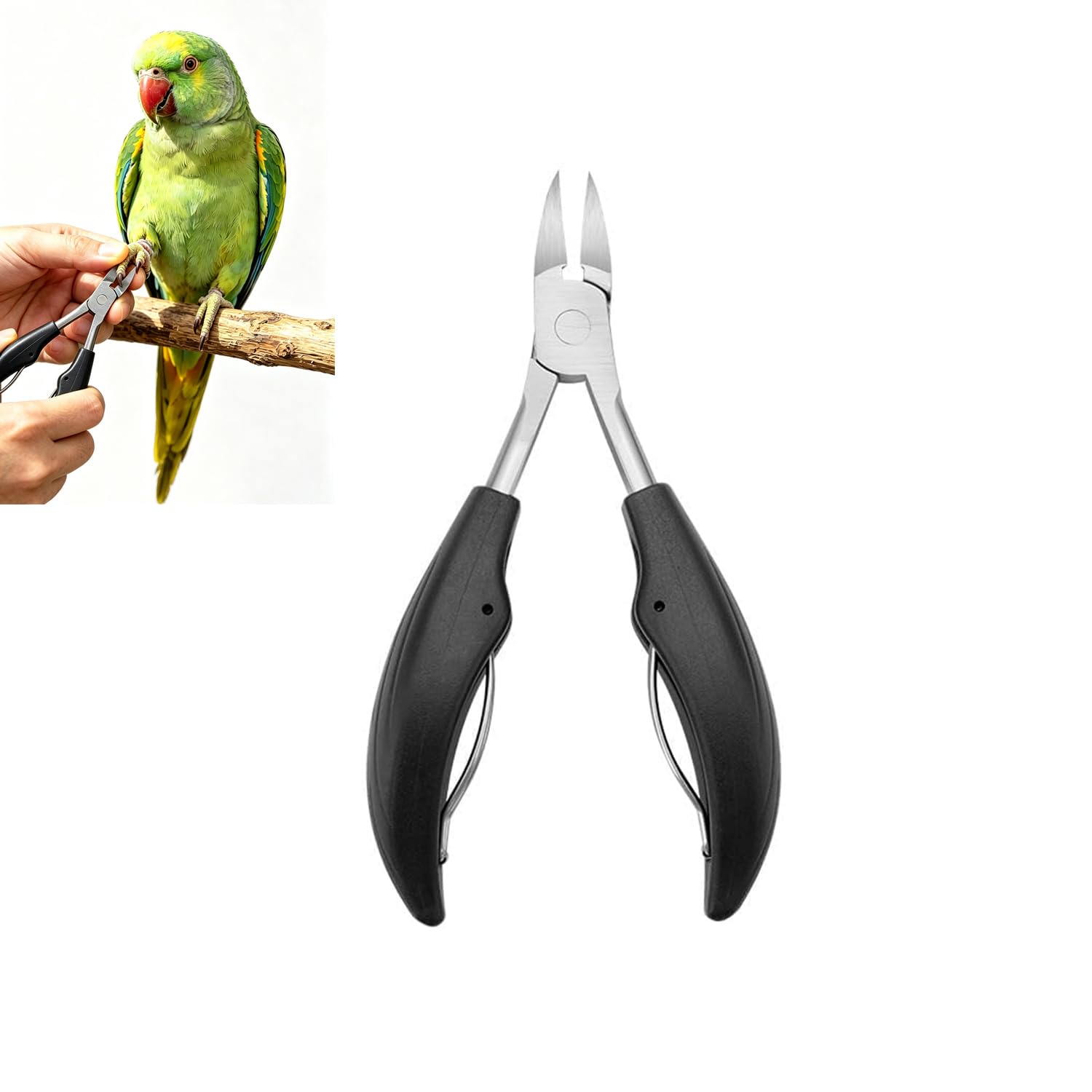 Roczential 鳥の爪切り、鳥用爪切り 小鳥専用ツメ切り セキセイインコ オカメインコ等 耐久性、安全性、快適性に 小型インコ 大型インコ オウム用 (ブラック)