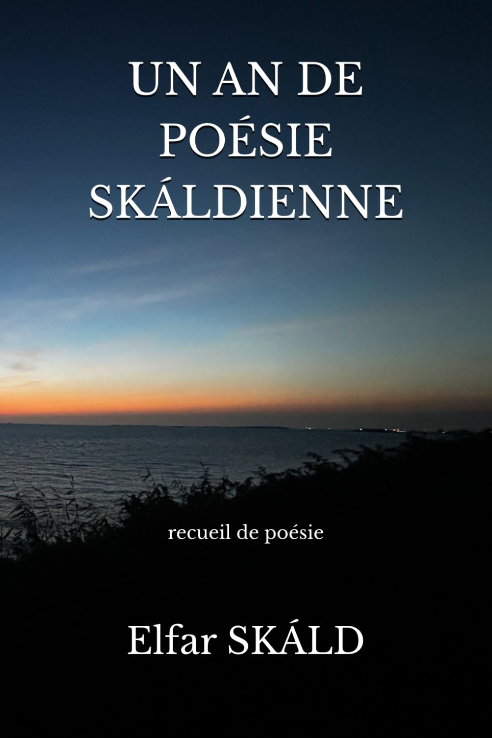 UN AN DE POÉSIE SKÁLDIENNE