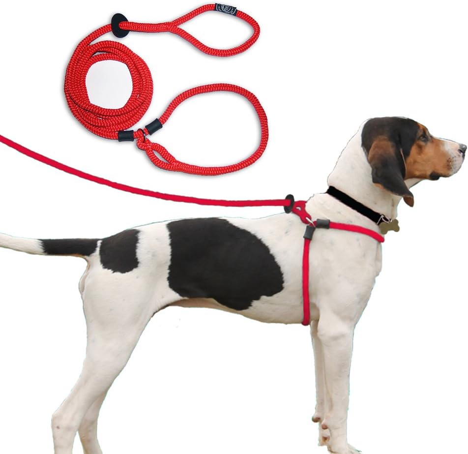 Harness Lead Leash, Small/Medium, Red