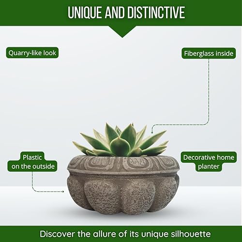 Miniatura 5 de Elly Décor Maceta de plástico Cantera de 10 x 5 pulgadas, diseño de cantera decorativa para plantas de interior y exterior, maceta redonda, cantera