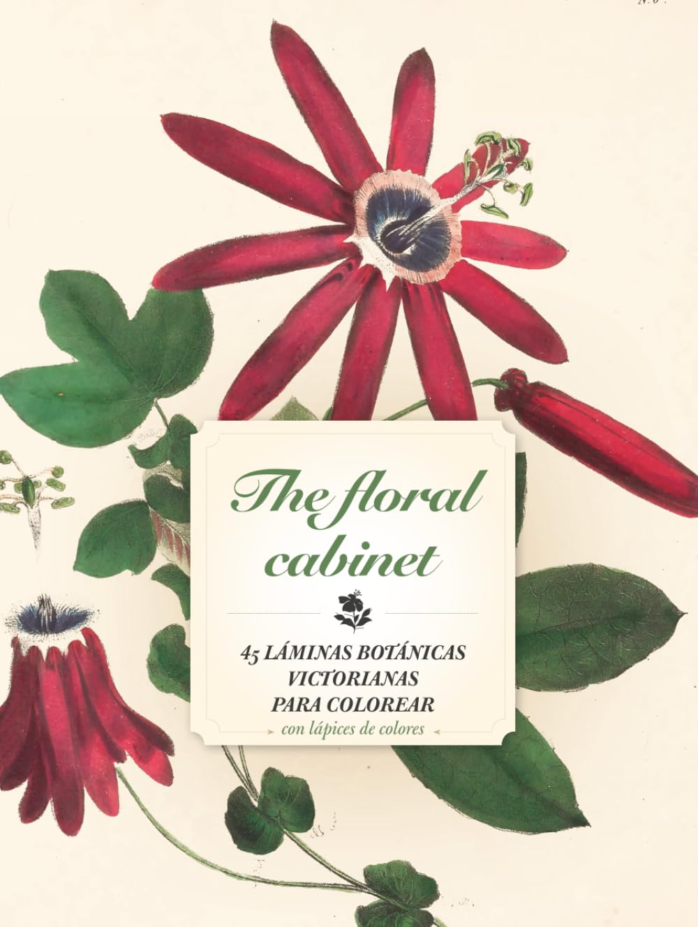 THE FLORAL CABINET: 45 láminas botánicas victorianas para colorear