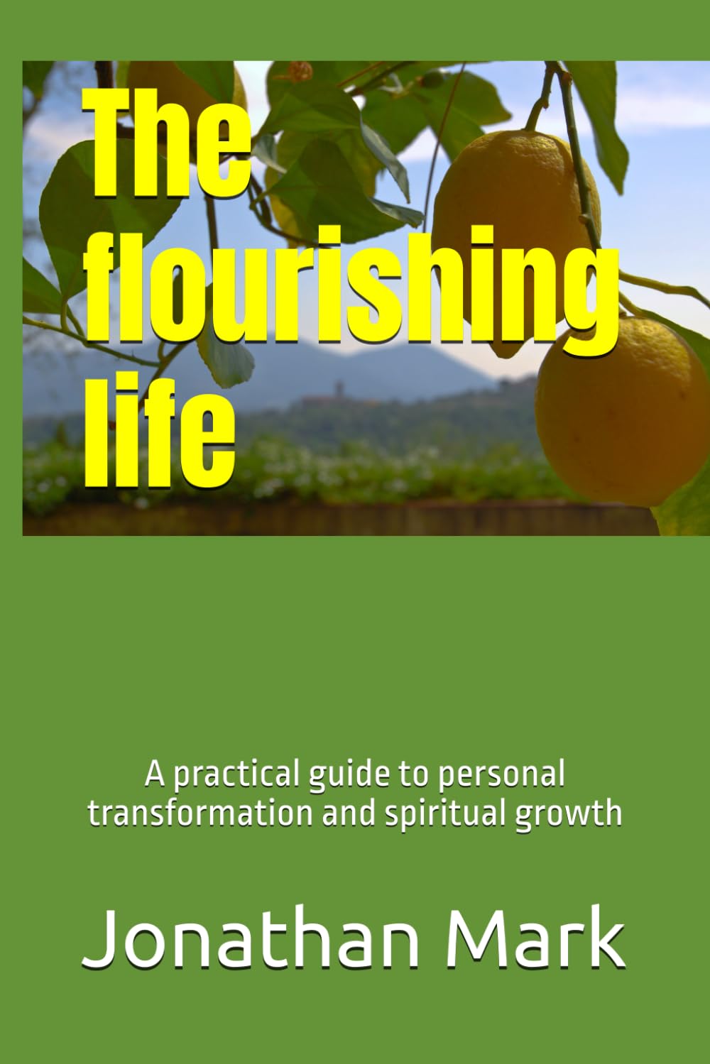 The flourishing life: A practical guide to personal transformation and spiritual growth