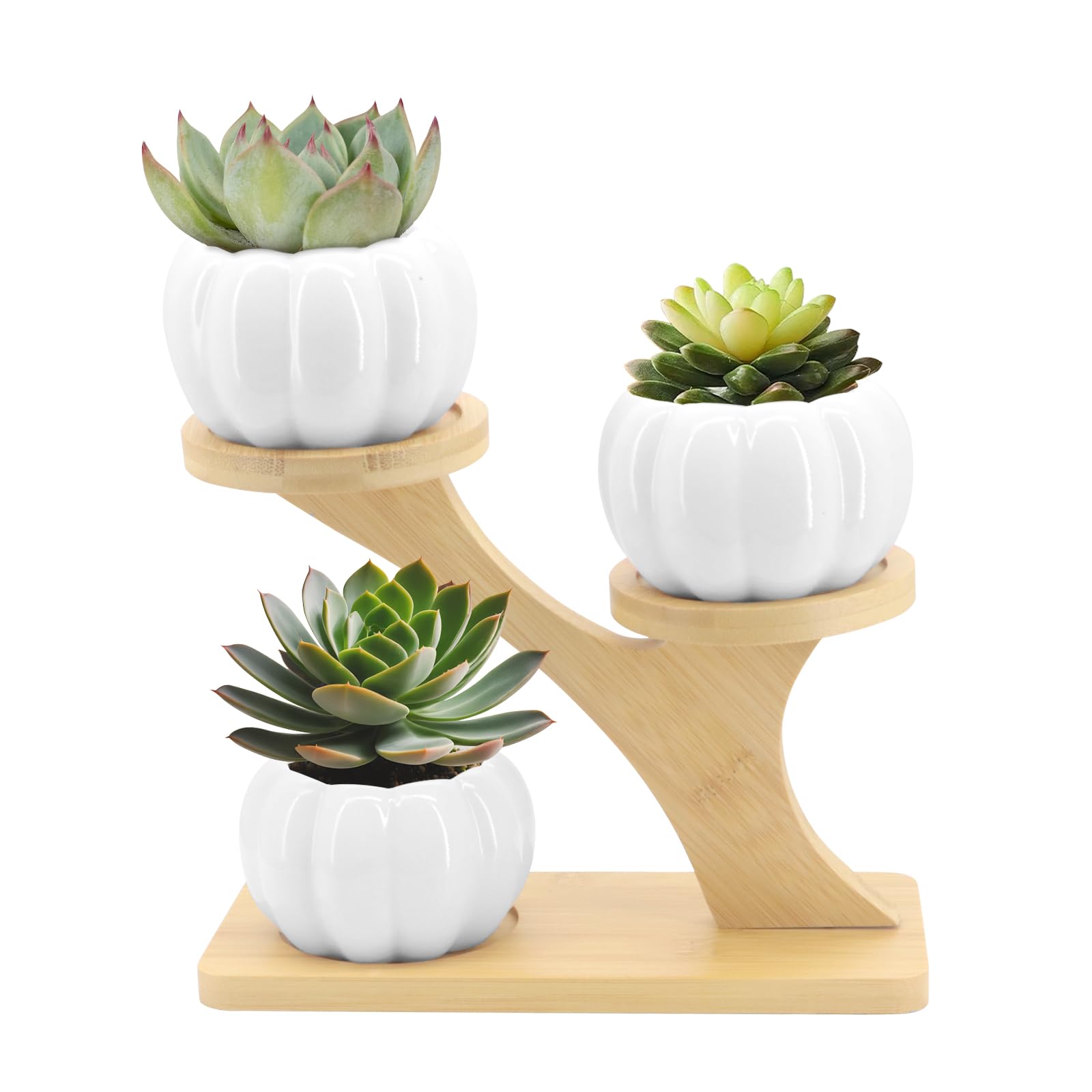 YINUOWEI Vasi per piante grasse con drenaggio da 3,6 cm, mini gatti per piante, piccoli animali in ceramica, vasi da fiori, cactus finto vaso con vassoio in bambù, confezione da 6