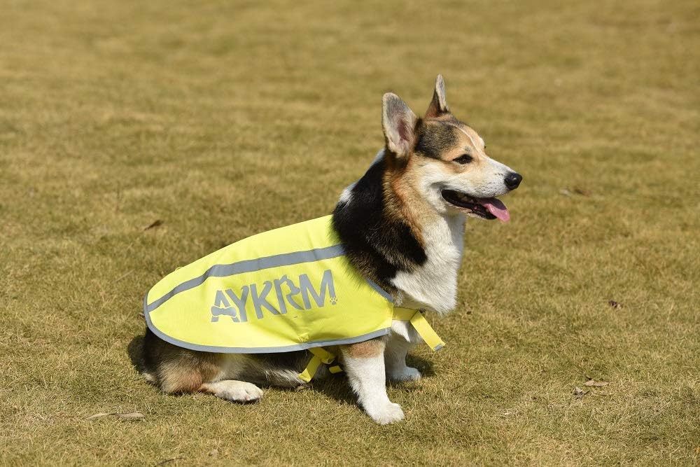 gilet dell'esercito per cane