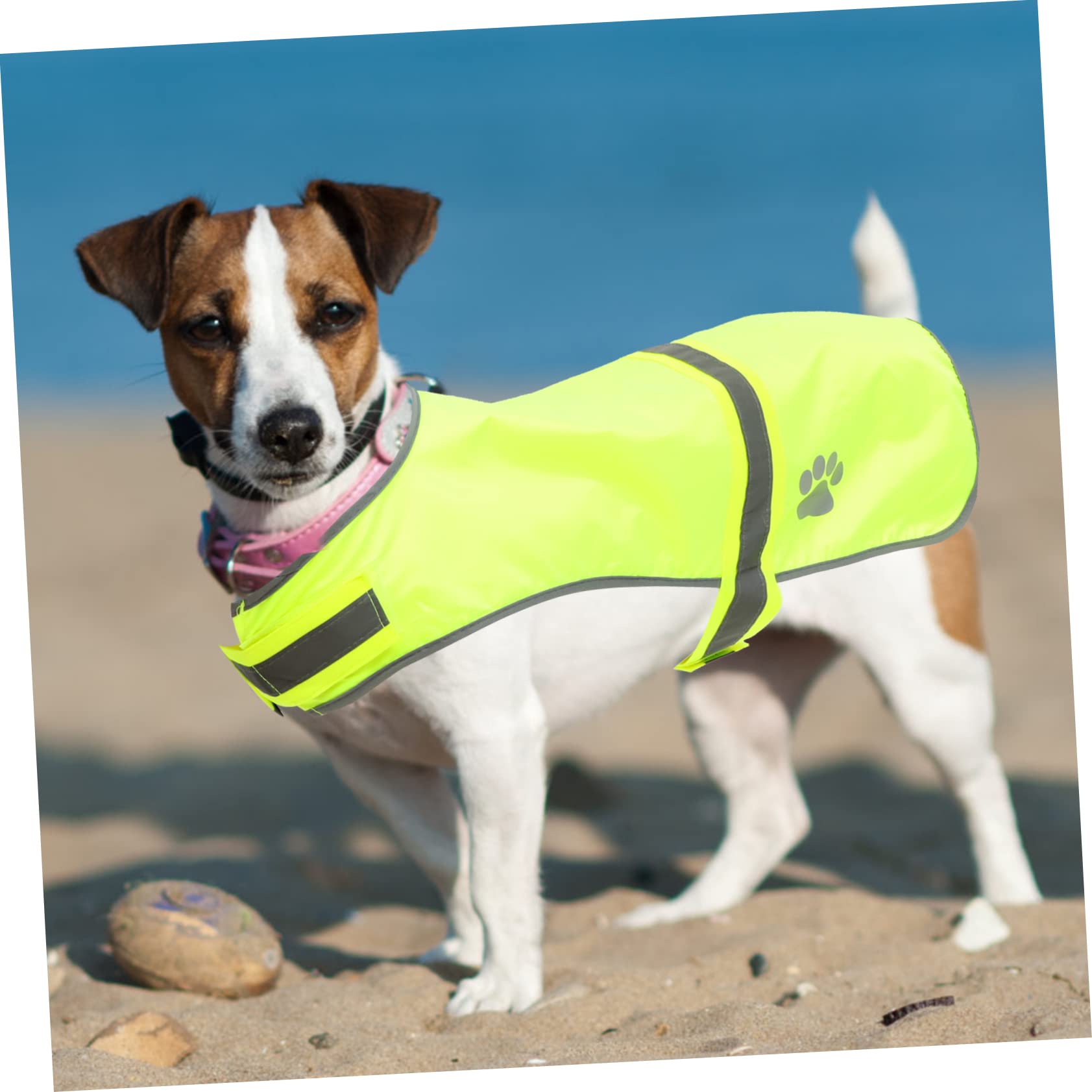 Sosoport 4stücke Hundeweste Reflektierend Für Haustiere Verstellbare Sicherheitskleidung Aus Atmungsaktivem Material Für Outdoor-aktivitäten Und Feste Und Komfortabel
