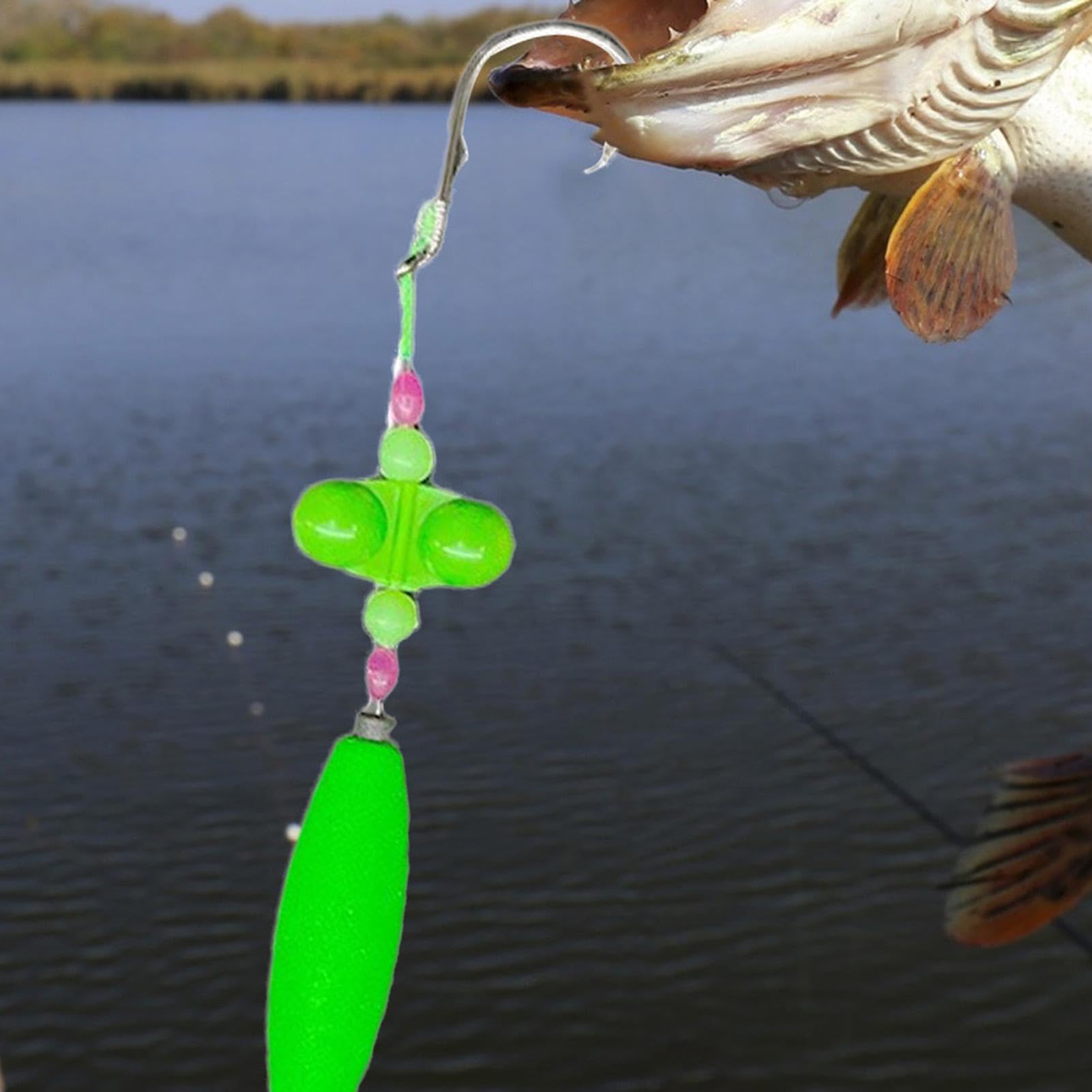 Sagoma di pesce e canna da pesca con galleggiante | Vettore Premium