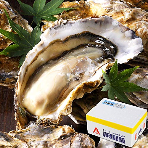 島の人 北海道 厚岸産 生牡蠣 まるえもん 殻付き 9個 Lサイズ 生食可能 カキ 牡蠣