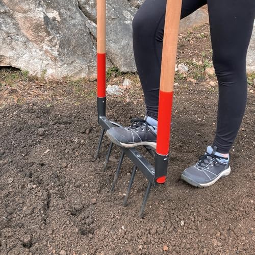 Grelinette a 5 denti - 2