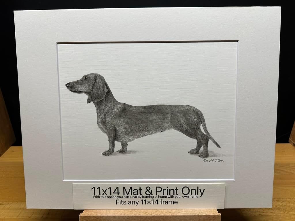 Red Standard Dachshund Dog Female Graphite Pencil Art Sketch Drawing Print Picture Limited Edition ~ Titled 'Dutchess' by David Allen (8x10 Mat & Print Only)