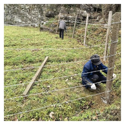 ZCXMNL Alambre De Púas, Cerca 4 Puntos Acero Inoxidable Perfecta For Cercas, Jardín, Artesanía(10m)