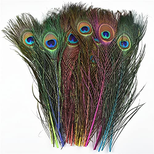 Pióra z pióra pawia, Opakowanie 10 piór pawich 25-30 cm w kolorze naturalnym