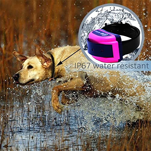 Tips for Using Wireless Dog Fence