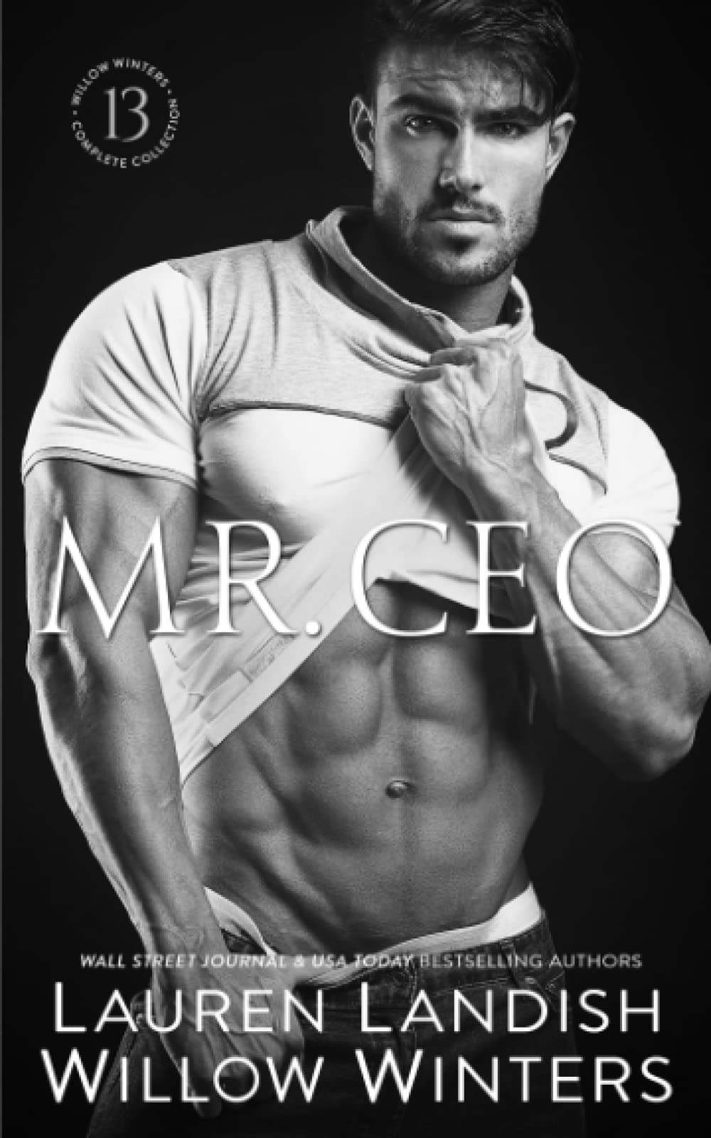 Mr. CEO (The Sexy Series)