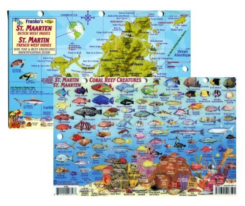 Amazon.com: St Martin, St Maarten Fish Id Card with Island Map 8.5 in by 5.5 in by FrankosMaps ...
