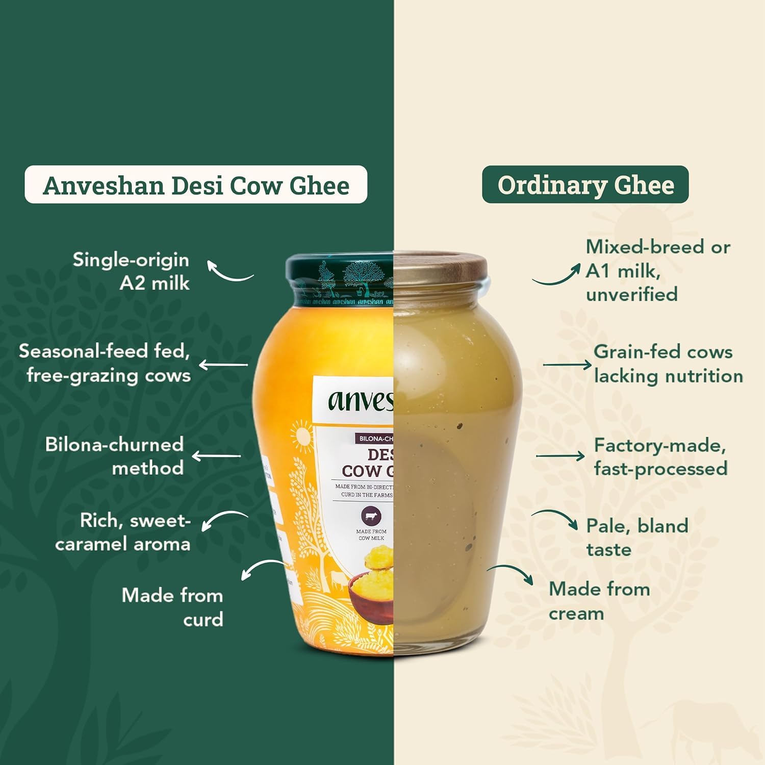 Anveshan A2 Cow Ghee 1 Litre | Traditionally Bilona-Churned, Danedar Ghee | Aromatic| NABL Lab Tested (70+ tests), Cruelty-Free | Grass-Fed | Glass Jar