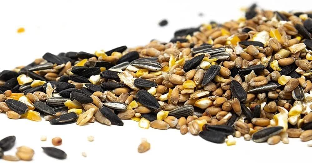 Buy Superpet Premium Wild Bird Seed Mix With Added Aniseed For All Wild
