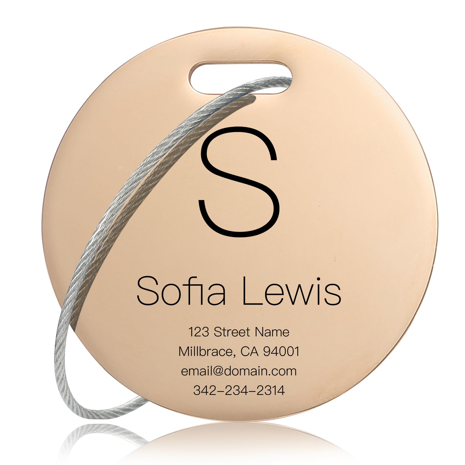 Customized Stainless Steel Luggage Tags: Personalize Your Suitcases, Backpacks, and Bags with Your Text (Rose Gold)