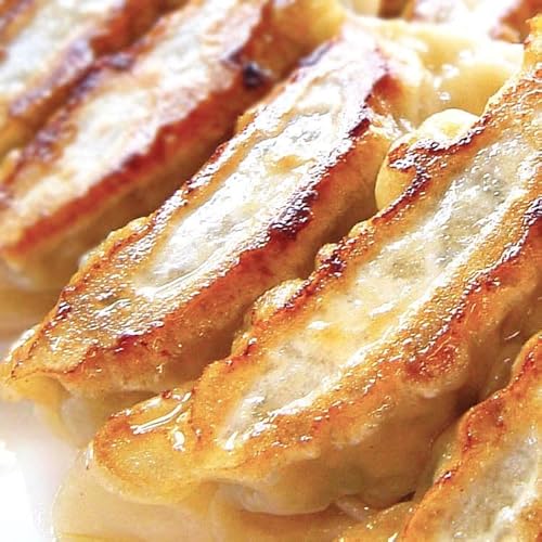 YouTuber 中華一筋 ガリハラ餃子 NEW TYPE 500g(20個) にんにく30%増量 手包み にんにく 餃子 冷凍