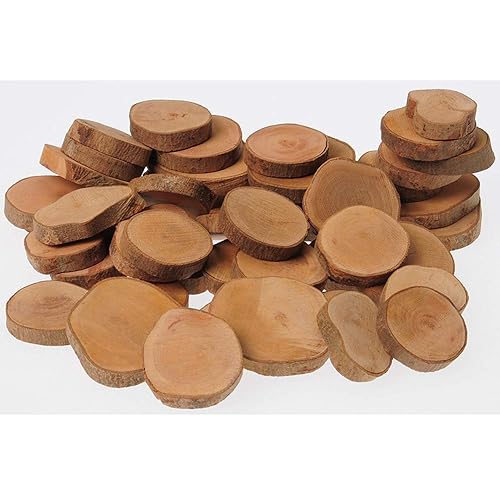 Constructive Playthings TEB-12 Juego de anillos de árbol de 45 piezas de 1" a 1.875" de diámetro para niños, observación científica y clasificación