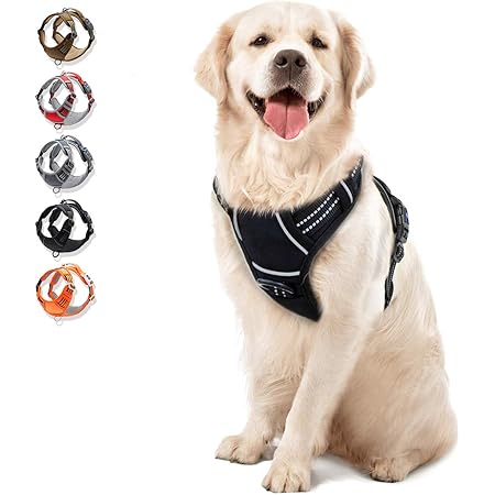 best anti pull harness for large dogs
