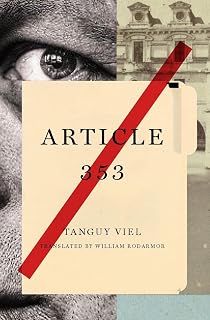 Article 353: A Novel