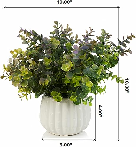 Miniatura 5 de ENOVA FLORAL Plantas en maceta, decoración artificial, plantas de eucalipto artificiales en macetas de cerámica blanca, pequeñas plantas falsas en