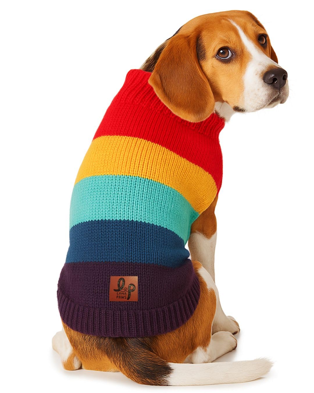 Lana Paws Rainbow Dog Winter Sweater for Large Beagles, Cocker Spaniels, Small Indies, Spitz & Similar, Size 23