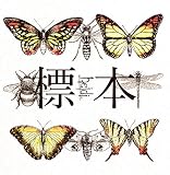 �W�{[TYPE-B]