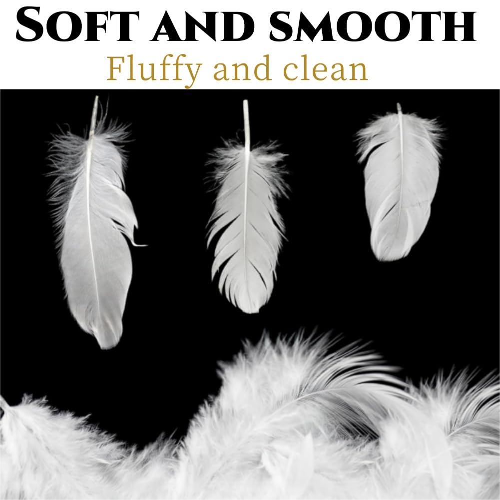 200 Plumes Naturelles Blanches Frogetu - DIY Déco, Artisanat, Mariage, Déguisement (Plume D'Oie)