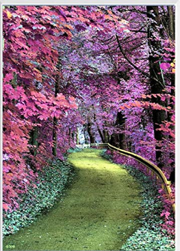 Peinture au diamant 5D route de fleurs 30x40cm pour décoration maison