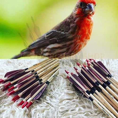 Wooden Archery Arrows for Thumb Release Archery Recurve Bow Brown Feather with Koc Nock(Pack of 6)