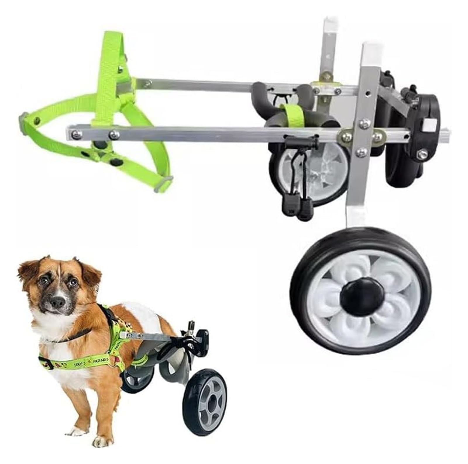 Chariot pour chien handicapé et entraînement des pattes arrière