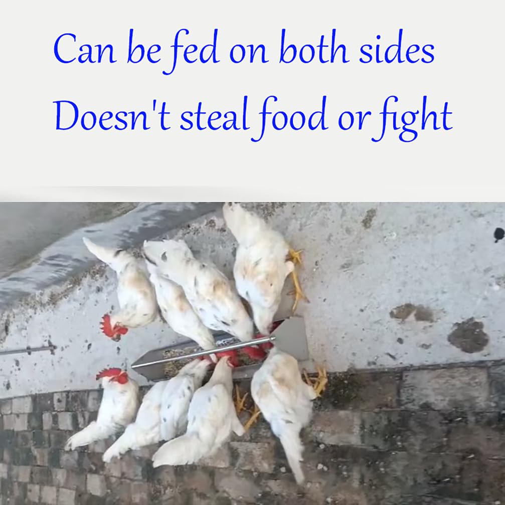 Comedero de aves de corral para gallinero, duradero, antiderrames, adecuado para patos, gansos y palomas