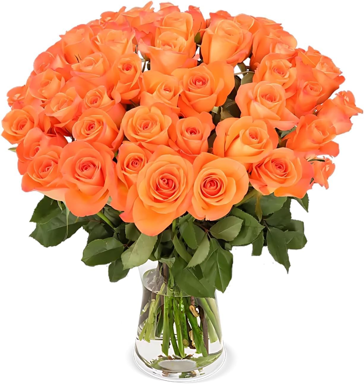 Blume Ideal Rosenstrauß - Rosen in verschiedenen Farben und Mengen - Ø 40–50 cm - Echte premium Blumen für Hochzeit & Deko - 7 Tage Frischegarantie