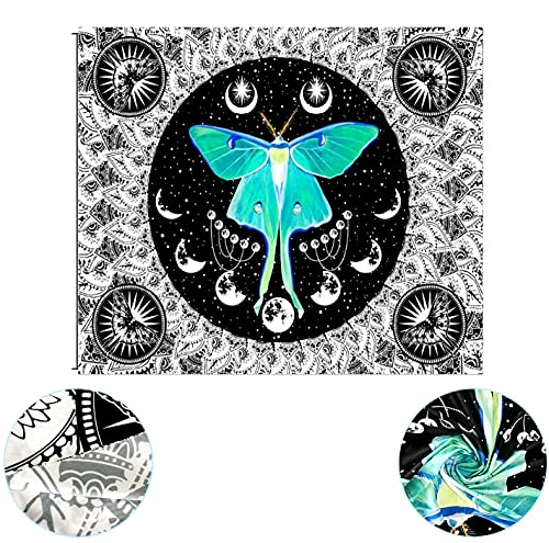 ZBYY Spirituskocher 2-flammig, 16cm Rostfreier Stahl Spirituskocher Für Innenräume mit Topf, Campingkocher Ohne Gas Und Strom，kann Zum Camping Und Innenraum