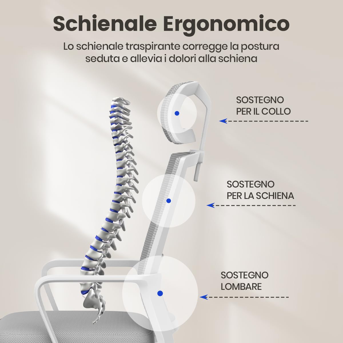 naspaluro Sedia da Ufficio Ergonomica con Supporto Lombare, Poltrona da Ufficio in Rete Traspirante, Regolabile in Altezza di 10 cm, Grigio